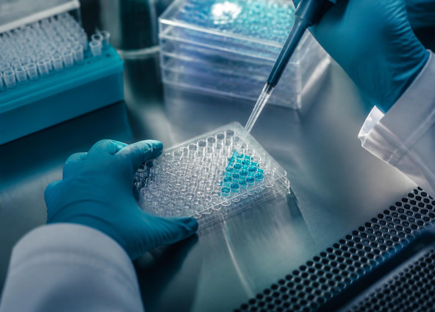 Gloved hands of a researcher preparing samples in a multi-well plate